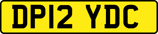 DP12YDC