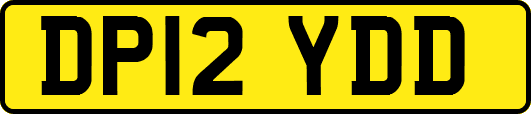 DP12YDD