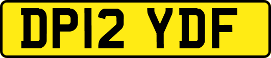 DP12YDF