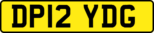 DP12YDG