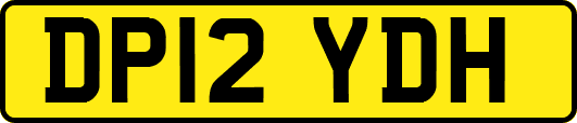 DP12YDH