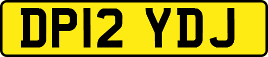 DP12YDJ