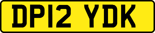 DP12YDK