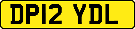DP12YDL
