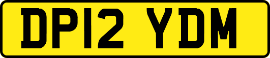 DP12YDM