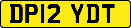 DP12YDT