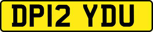 DP12YDU