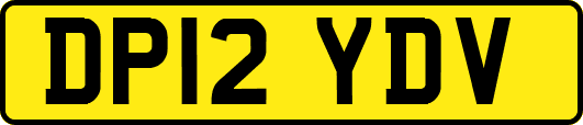 DP12YDV
