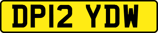 DP12YDW