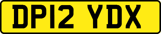 DP12YDX