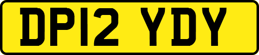 DP12YDY