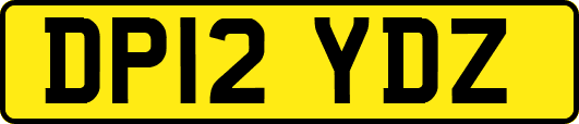 DP12YDZ