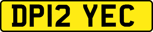 DP12YEC