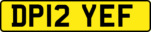 DP12YEF