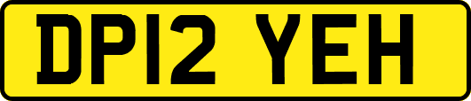 DP12YEH
