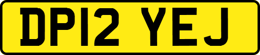 DP12YEJ