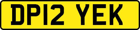 DP12YEK