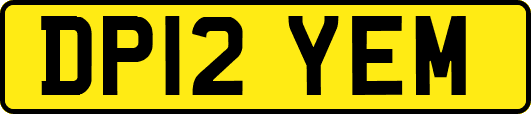 DP12YEM