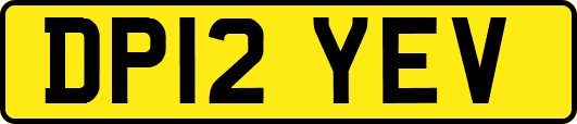 DP12YEV