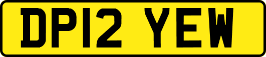 DP12YEW