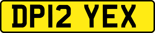 DP12YEX