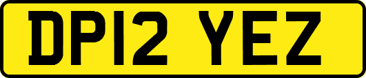 DP12YEZ