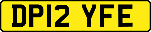 DP12YFE