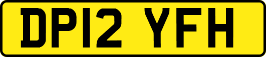 DP12YFH