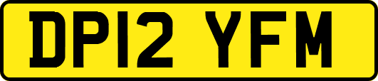 DP12YFM