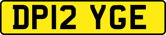 DP12YGE