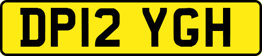 DP12YGH