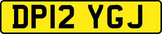 DP12YGJ
