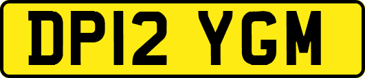 DP12YGM