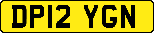DP12YGN
