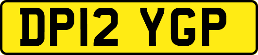 DP12YGP