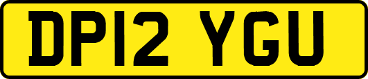 DP12YGU