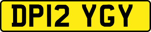 DP12YGY