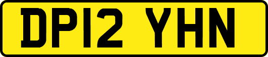 DP12YHN