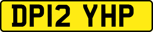 DP12YHP