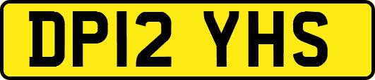 DP12YHS