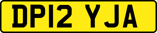 DP12YJA