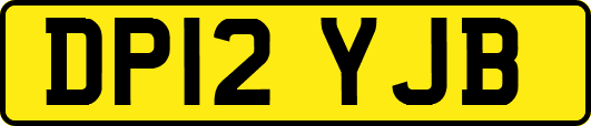 DP12YJB