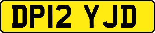 DP12YJD
