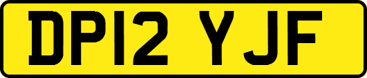 DP12YJF