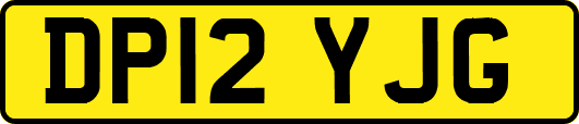 DP12YJG