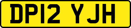 DP12YJH