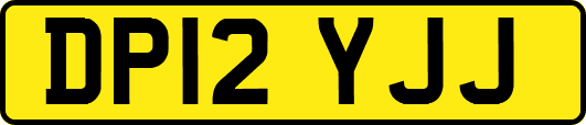 DP12YJJ
