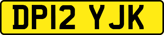 DP12YJK