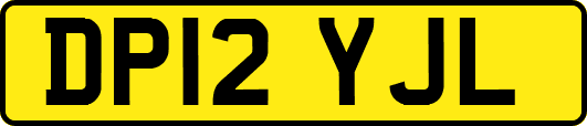 DP12YJL