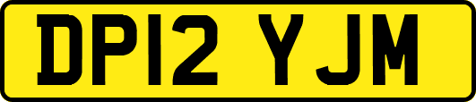 DP12YJM